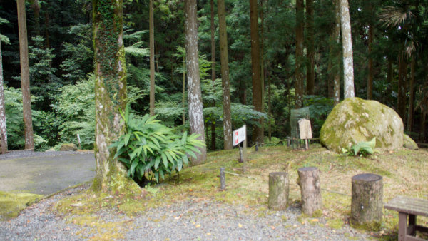 camp29 (208).jpg